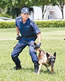 警犬巴打搞笑对白,笑料横生的警界奇缘